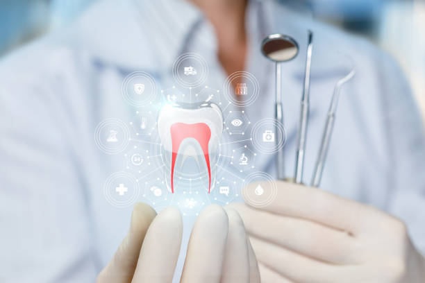 Trusted Scandia, MN  Holistic Dental Services Experts